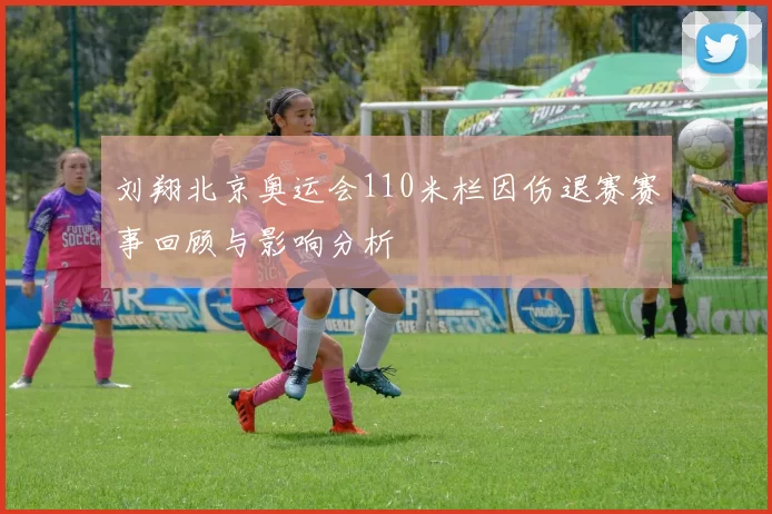 刘翔北京奥运会110米栏因伤退赛赛事回顾与影响分析