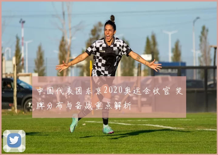 中国代表团东京2020奥运会收官 奖牌分布与备战重点解析