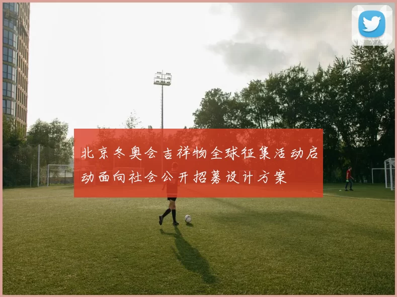 北京冬奥会吉祥物全球征集活动启动面向社会公开招募设计方案