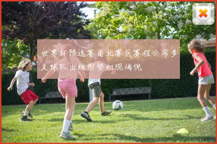 世界杯预选赛南北赛区赛程公布多支球队出线形势初现端倪